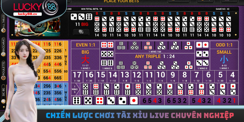 Chiến lược chơi tài xỉu live chuyên nghiệp